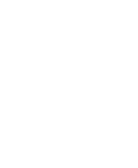 Pr Redouane RABII